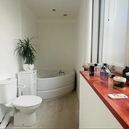Exceptionnel Au Coeur De Apartman *